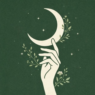 Книжный артхаус ☽ Дарья Райнер