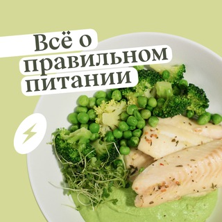 Тарелочница: всё о ПП и методе тарелки🥦