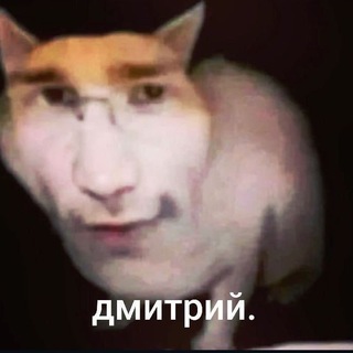 Подвал Фрузера