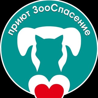 "ЗооСпасение"🐕🐈- приют для бездомных животных г. Самара.