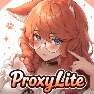 ProxyLite