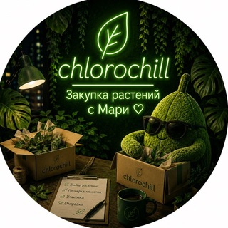 Закупки растений с Мари ℂ𝕙𝕝𝕠𝕣𝕠ℂ𝕙𝕚𝕝𝕝