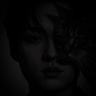 流れ星 ; chats devant les sentiments.