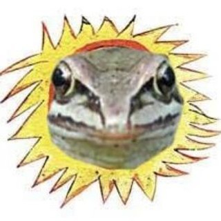 Rana arvalis путешественница