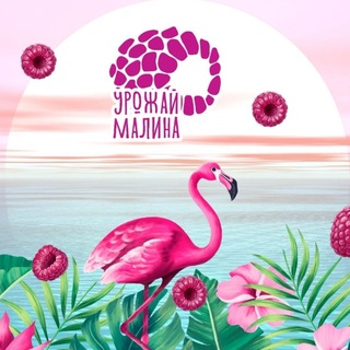 Пляж Урожай Малина