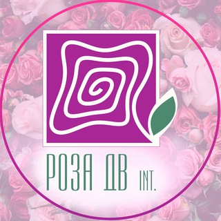 💐ROZA DV INT💐РОЗА ДВ ИНТ💐