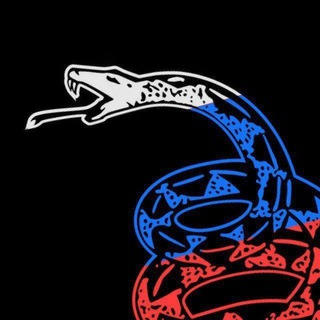 🇷🇺РУСЛИБ🐱🐍