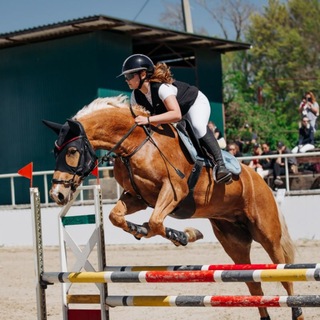 Russian show jumper