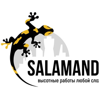Salamanders🦎