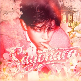 SAYOUNARA INT