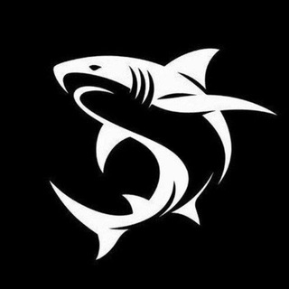 SHARK OF DARK