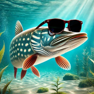 Щука VPN🐟