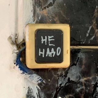 А ещё я выгуливаю собак