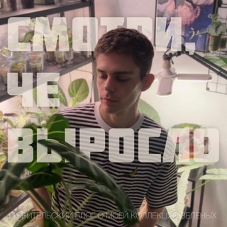 СМОТРИ, ЧЕ ВЫРОСЛО🌱