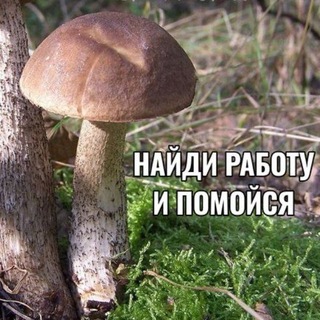 Шампиньонов сортир👅🍄‍🟫