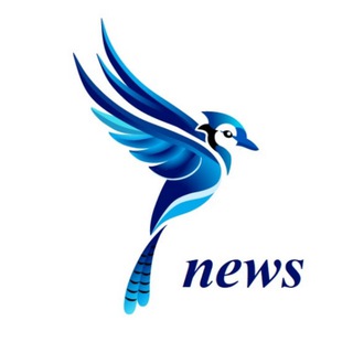 SoykaSoft | оцифровка бизнеса для селлеров🐦