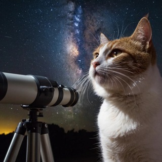 КотьМос🚀