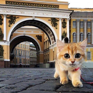 🔥Фонтанка СПб