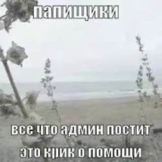 shitpost pics confession🌈