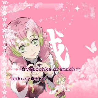 ◦•●◉✿𝚅𝚎𝚝𝚘𝚌𝚑𝚔𝚊 𝚍𝚛𝚎𝚖𝚞𝚌𝚑𝚎𝚢 𝚜𝚊𝚔𝚞𝚛𝚢✿◉●•◦