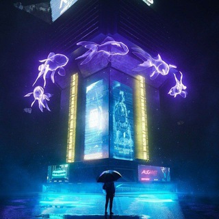STAR-CITY INFO