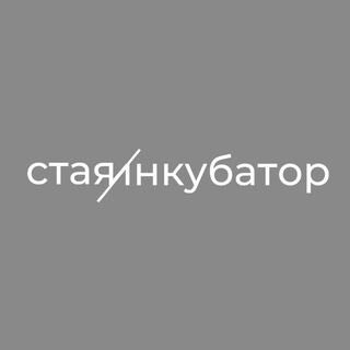 СТАЯ / ИНКУБАТОР
