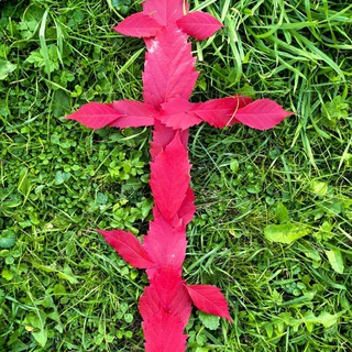 🕊️Стихи последних времён☦️