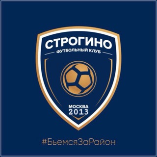 ФК Строгино 2013