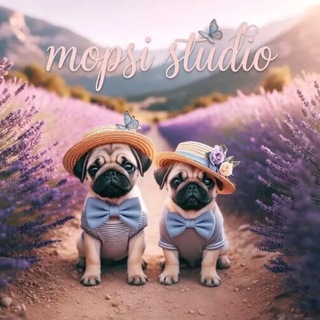 [полу рест] 𝐦𝐨𝐩𝐬𝐢 𝐬𝐭𝐮𝐝𝐢𝐨