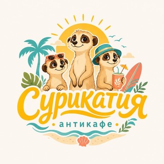 Сурикатия | Антикафе Владивосток