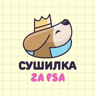Сушилка za psa i mačku🐾Нови сад