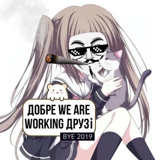 Sypqa77