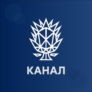 T-AI | Полезная информация