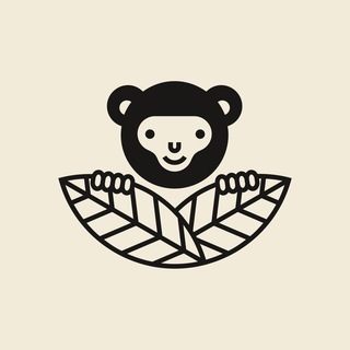 Jungle Story