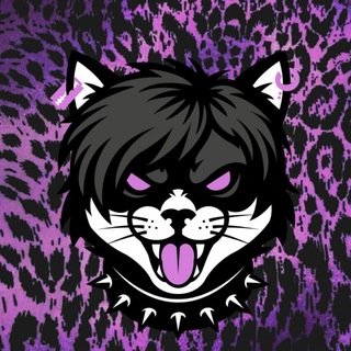 🎸THE REAL KITTY💊