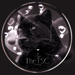[ЗАМЕДЛЕНИЕ] TheTSC | Clan