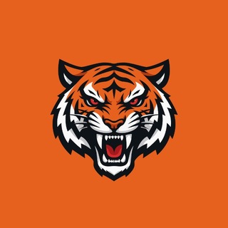 SHADOW TIGERS | Standoff 2