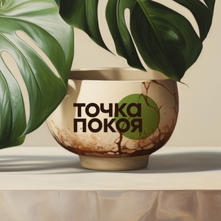 точка покоя | китайский чай в Ялте | чайные церемонии Ялта