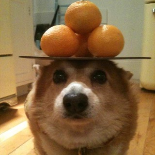 🍊Один из сотен Crypto-каналов в твоей ленте