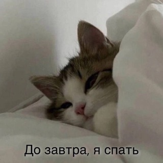 Токсичный препод