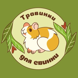 травинки для свинки🌾| сено и засушка