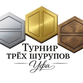 Фестиваль «Турнир Трёх Шурупов»