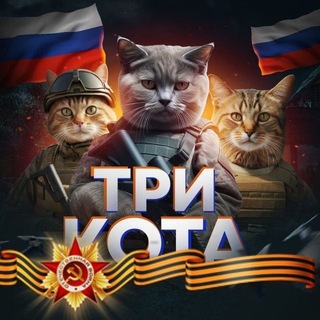 Три Кота|БПЛА