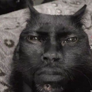 ЦВЕТОЧНЫЙ ЗООПАРК🚬