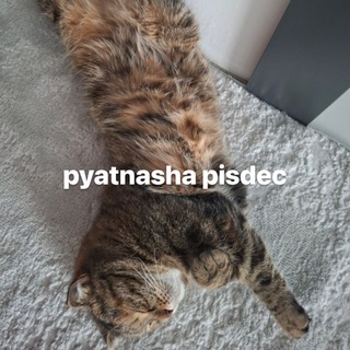 √225 шк