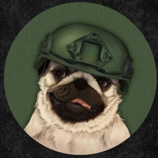 Turchik