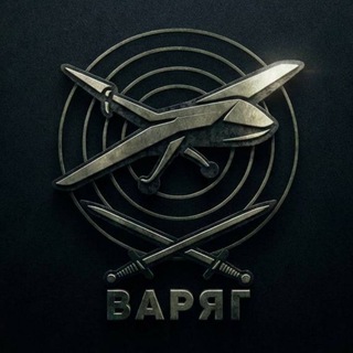 Отряд противодействия БПЛА «Варяг»