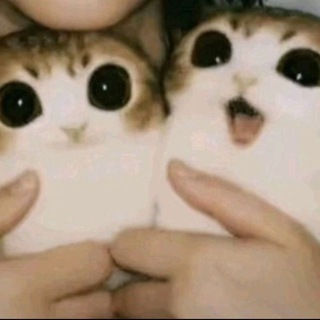 🪦