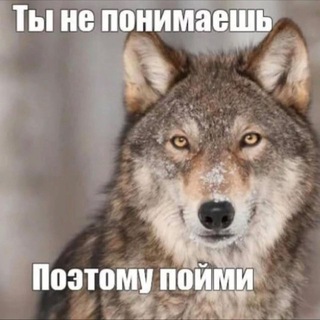 ВАДИМ ВОСТРОВ