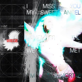 закрыто🔒/ Wiege’ Dispatch. //WG時間